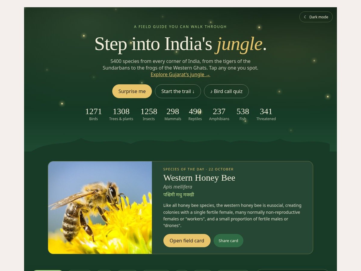 India Jungle — Wildlife Field Guide